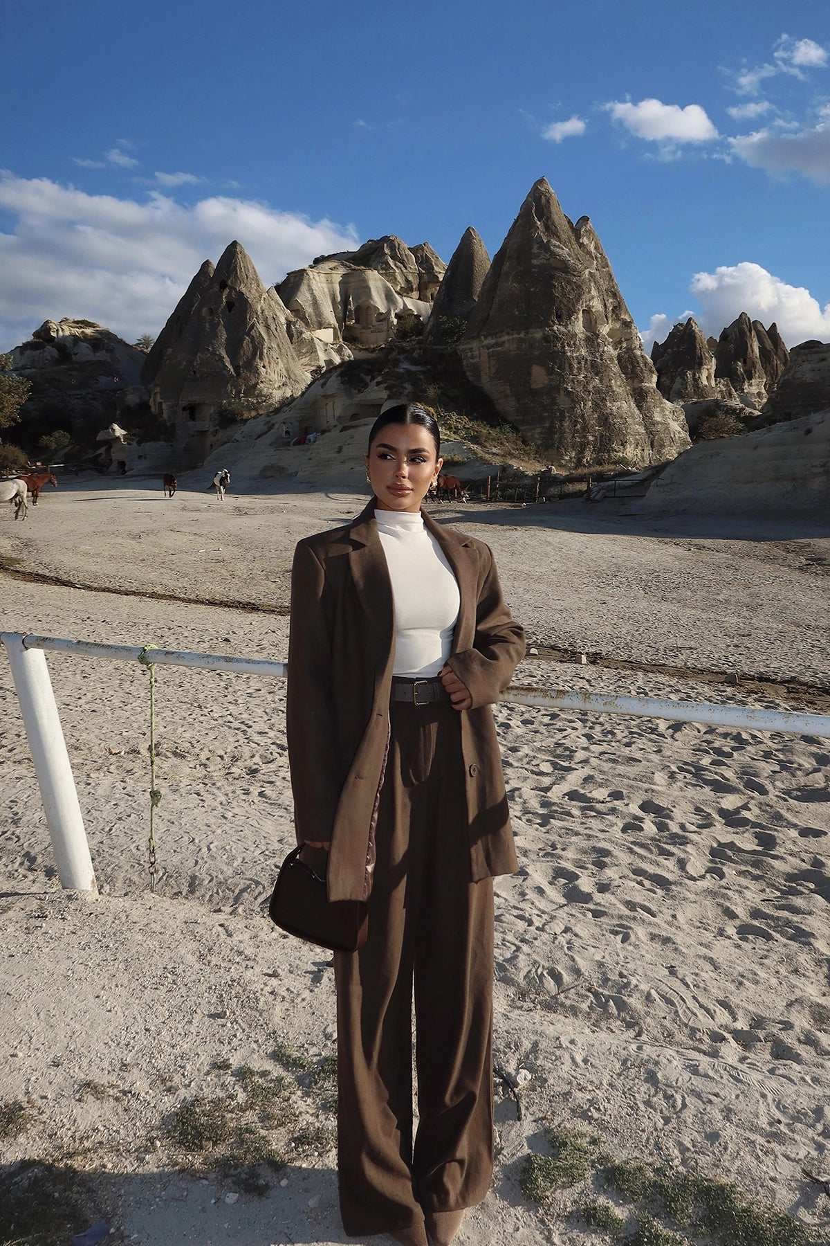 Brown Daia Bottom Top Set