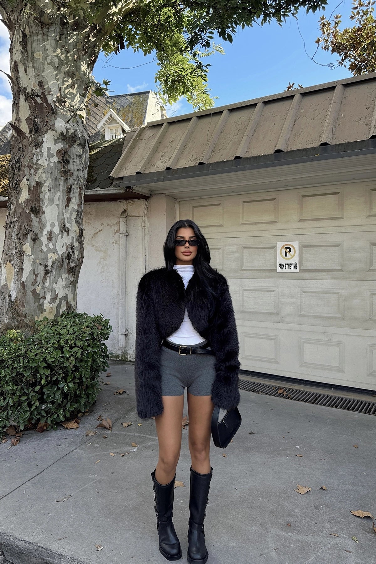 Black Short Fur
